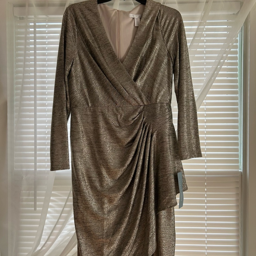 Maggy London special occasion dress